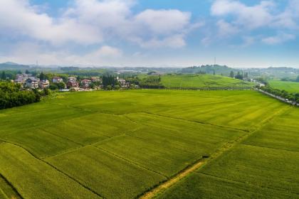 019年十一月二十一出生的男孩如何起名字，五行属什么"