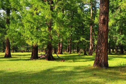 019年7月28号出生的女宝宝五行缺木要如何起名字"