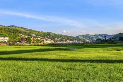 019年3月27号出生的男宝宝五行缺金要怎么起名字"