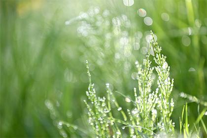 019年11月14号午时出生的男孩怎么起名字，五行属什么"