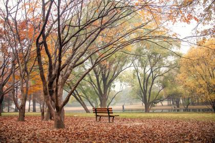 019年5月11号出生的双胞胎男孩起什么名字好听，五行属什么"