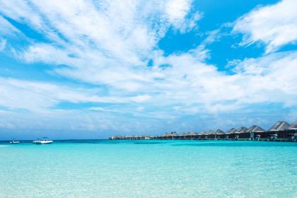 019年6月6号出生的双胞胎男孩起什么名字比较好，五行属什么"