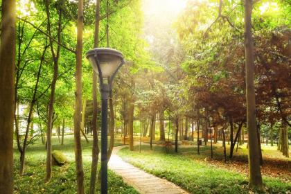 019年端午节出生的人五行缺金取名推荐"