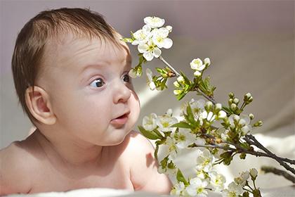 018年腊月初三出生宝宝乳名大全,萌一点的宝宝乳名推荐！"