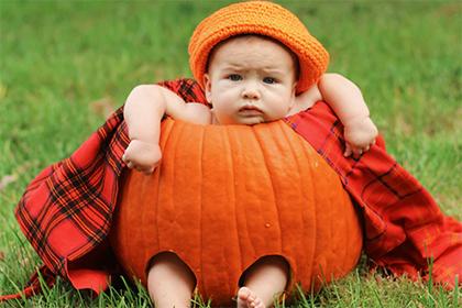 狗年宝宝起名最好的字汇总，附宜用字的赏析