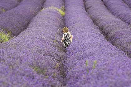019年4月28号申时出生的女孩取名有何禁忌，应该如何取名？"