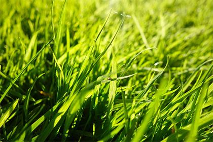 018年腊月二十七女孩五行缺火如何起名？用什么字好听？"