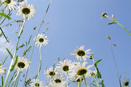 019年3月8号出生的男宝宝五行缺水要如何起名字"