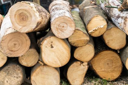 019年7月28号辛时出生的女孩怎么起名，五行是什么？"