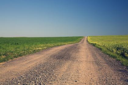 如何给2019年7月5号卯时出生的女孩起名字，五行是什么？