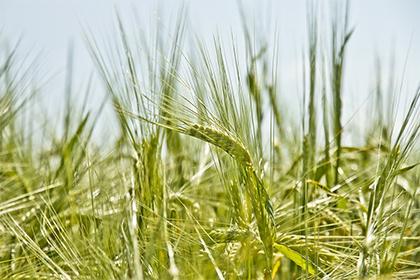 019年11月23号出生的男宝宝五行缺土取名注意事项"