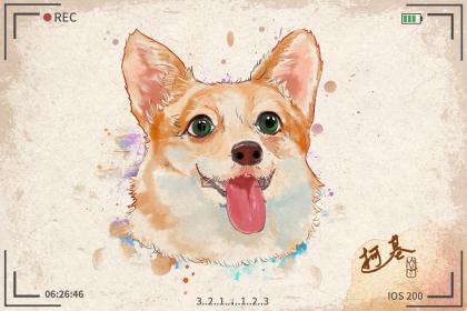 018狗年白露生男孩八字缺木起名？缺木的宝宝命好吗？"