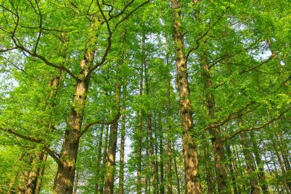 019年4月5号出生的双胞胎男孩起什么名字比较好，五行属什么"