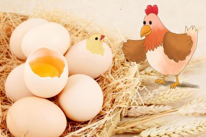 属鸡辛时出生的男孩如何起名，适合用什么字