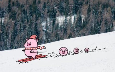 2019年2月11日出生的猪宝宝起名大全