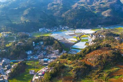 怎么为2019年农历腊月二十三出生八字五行缺金的女孩起名字？