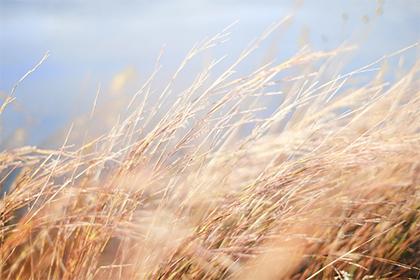 019猪年就出生女孩五行缺水要怎么起名字"