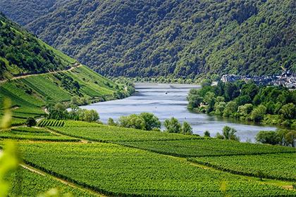 出生于2019年冬至五行缺火女宝宝取名宝典