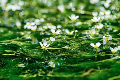 020年一月正月十六日出生的男孩五行缺什么，八字如何起名"