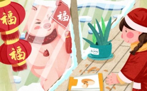 生肖属猪的女孩起名宜用字大全，用哪些字的寓意好？