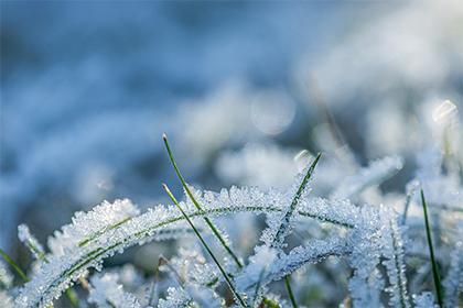 019年5月2号出生的女宝宝五行缺木要怎么起名字"