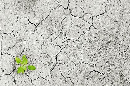 019年出生五行缺火的男孩名字大全"