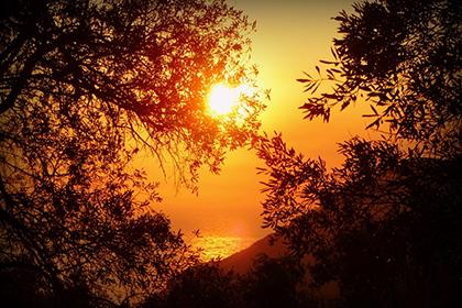 019年4月28号傍晚出生的男孩命理，宜取哪些名字？"