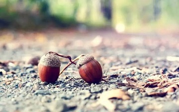 拉风的网名大全