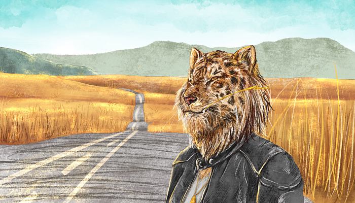 2022年属虎人戴什么旺财 2022年属虎本命年佩戴什么最招财