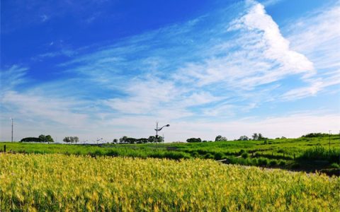 2023年阴历12月20日是不是黄道吉日