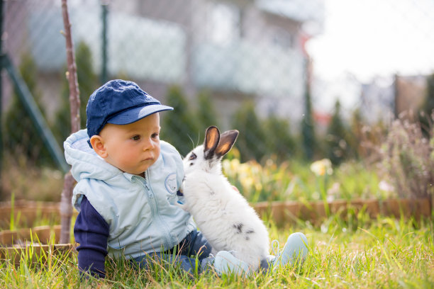 宝宝取名：起名字大全男孩免费