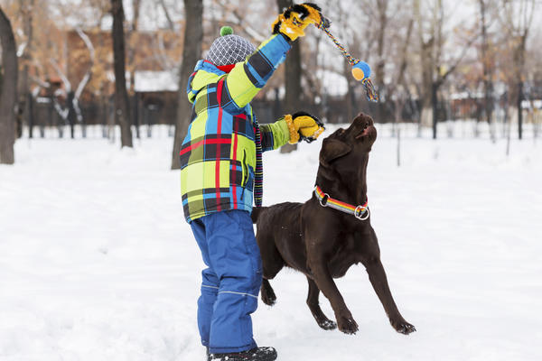 生肖狗和什么哪个生肖相冲 生肖狗和什么生肖相冲相克