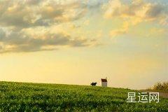 视频丨卫姓男孩名字大全,卫跟什么搭配名字好听