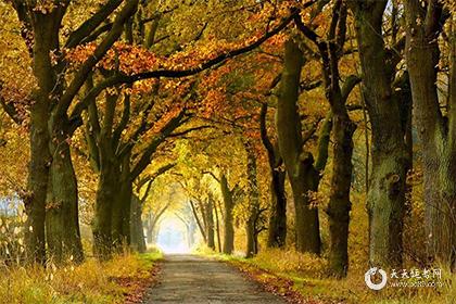 023年3月2日是黄道吉日吗