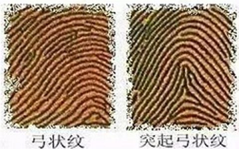 右手食指决定了你的爱情，有些事情天注定！