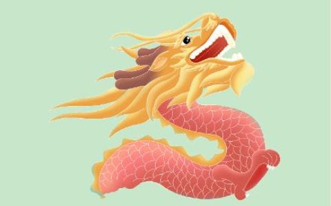 1988年出生属龙的今年多大_1